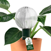 Blumat self-watering glass globe for indoor plants – front view showing globe and adapter detail