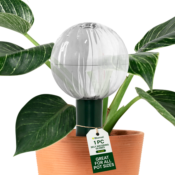 Blumat self-watering glass globe for indoor plants – front view showing globe and adapter detail