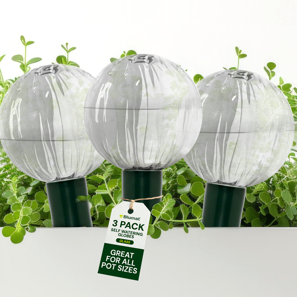 Three-pack of Blumat glass plant watering globes for houseplants – vacation plant watering solution