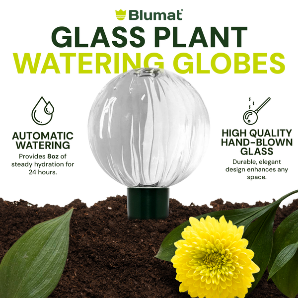 Blumat glass plant watering globe with a yellow flower and soil in the background