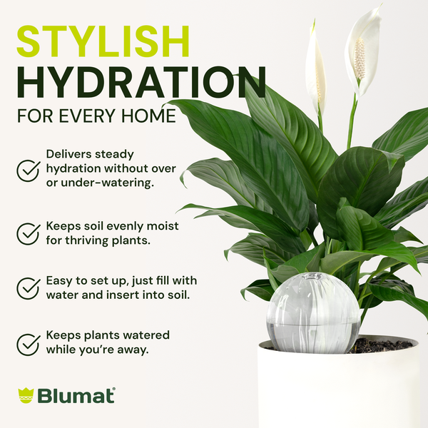 Blumat product with a potted plant, highlighting features and brand name.