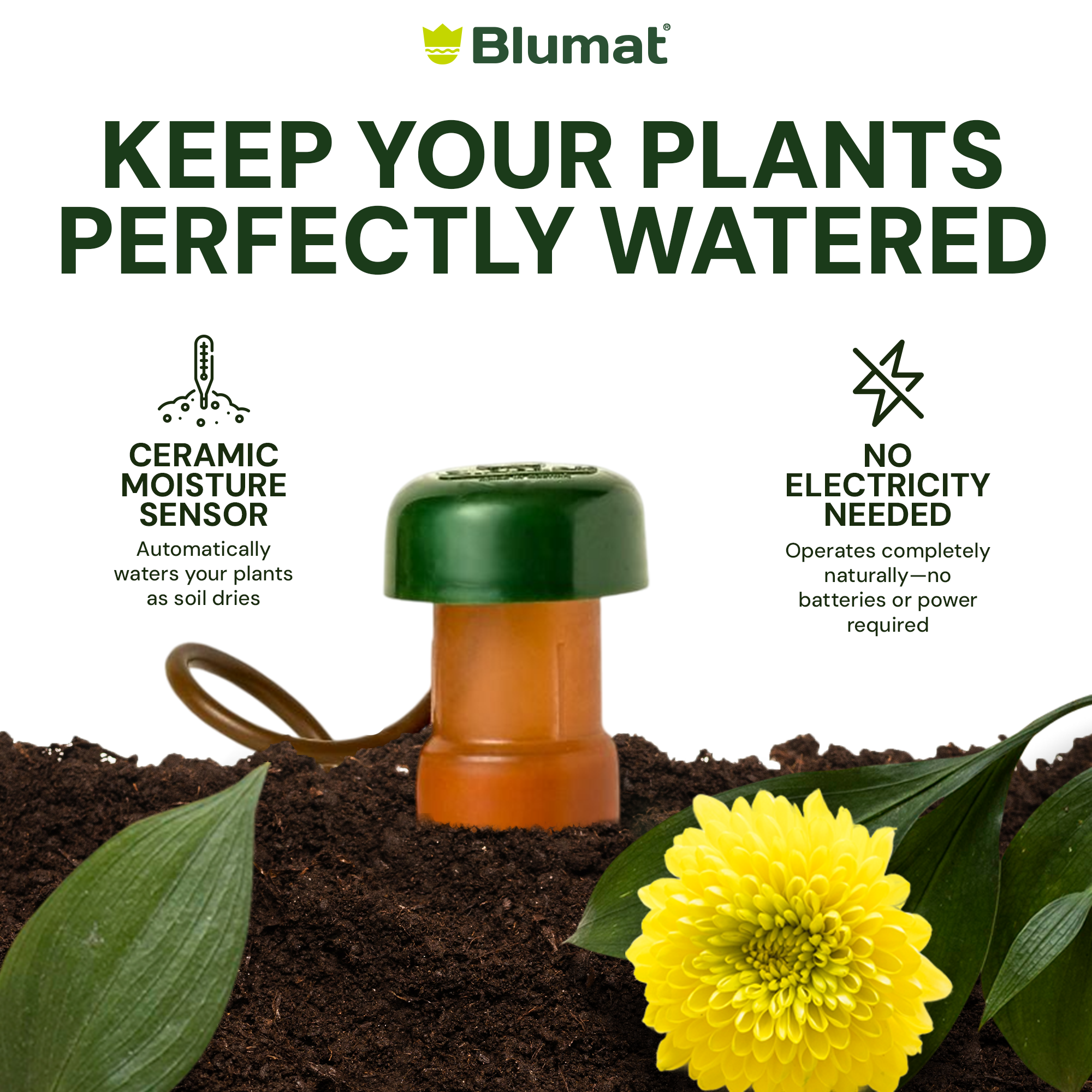 Blumat plant watering system with a yellow flower and text highlighting features.