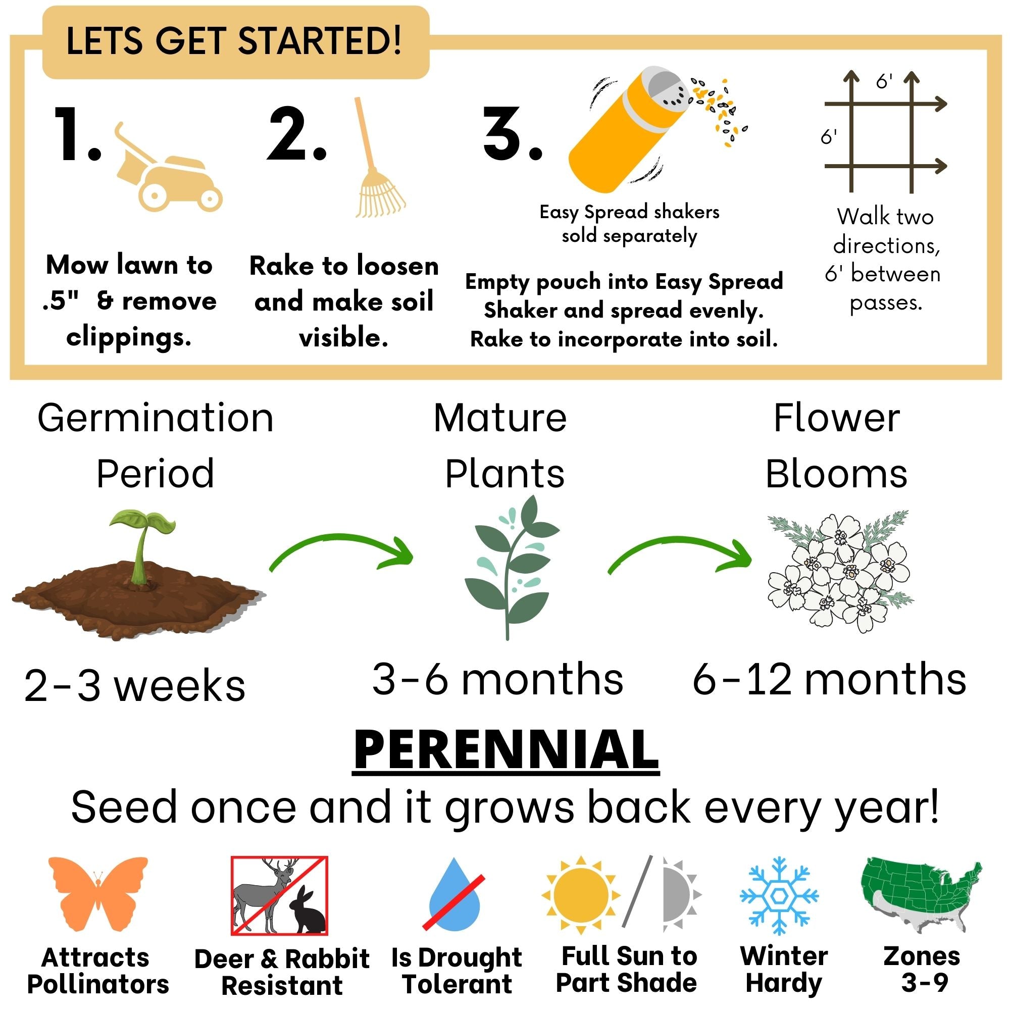 White Yarrow Seed Pouch: Create a Beautiful, Pollinator-Rich, Low-Mow Lawn