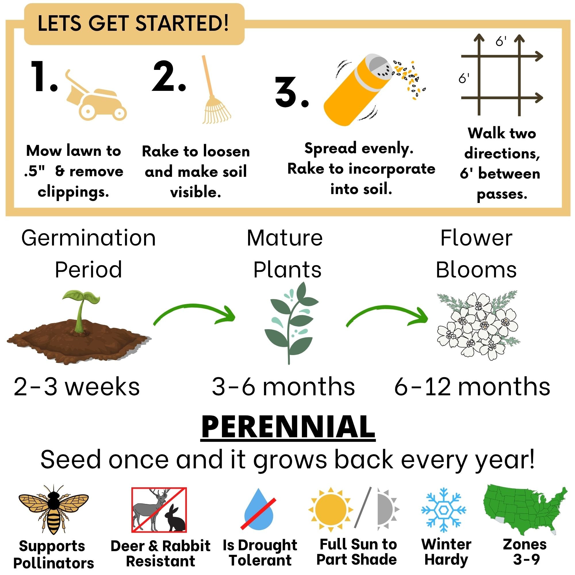 Step-by-step guide for starting a perennial garden with illustrations and text.
