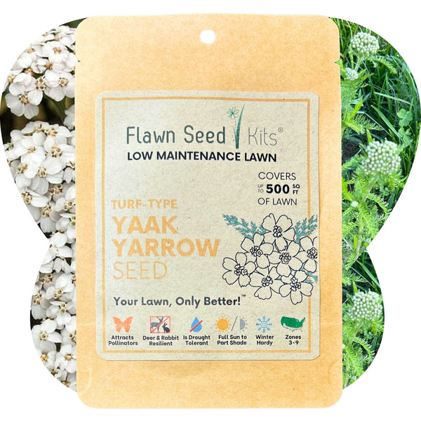 Flawn Seed Kits package for low maintenance lawn with floral and greenery background