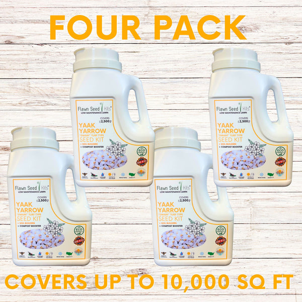 Four bottles of Yaak Yarrow Seed Kit on a wooden background with text indicating a four-pack and coverage area.