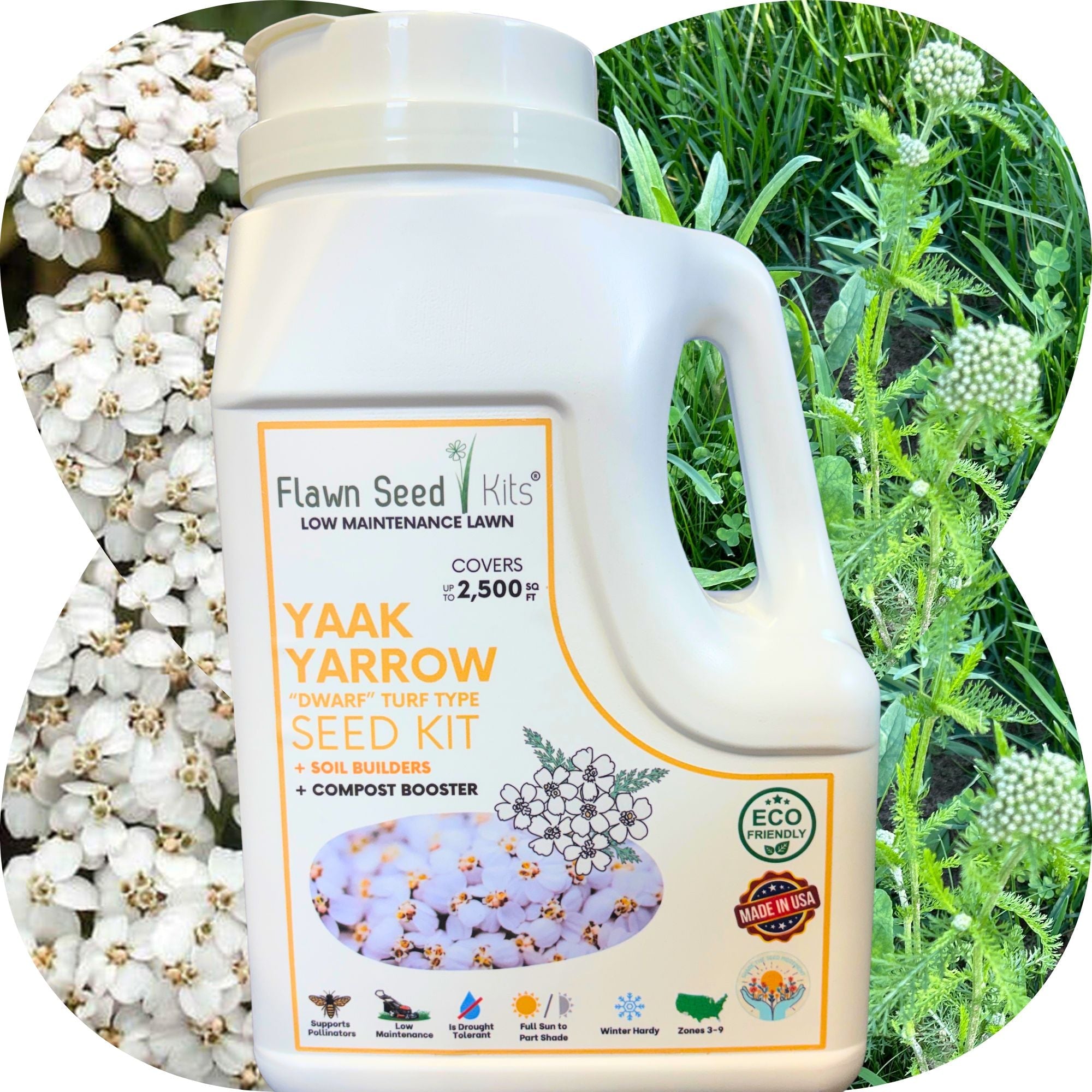Flawn Seed Kits Yaak Yarrow seed kit packaging with flowers and grass in the background
