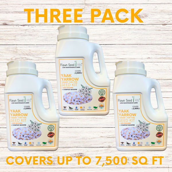 Three-pack of Flawn Seed Yaak Yarrow Seed Kit on a wooden background with text indicating coverage area.