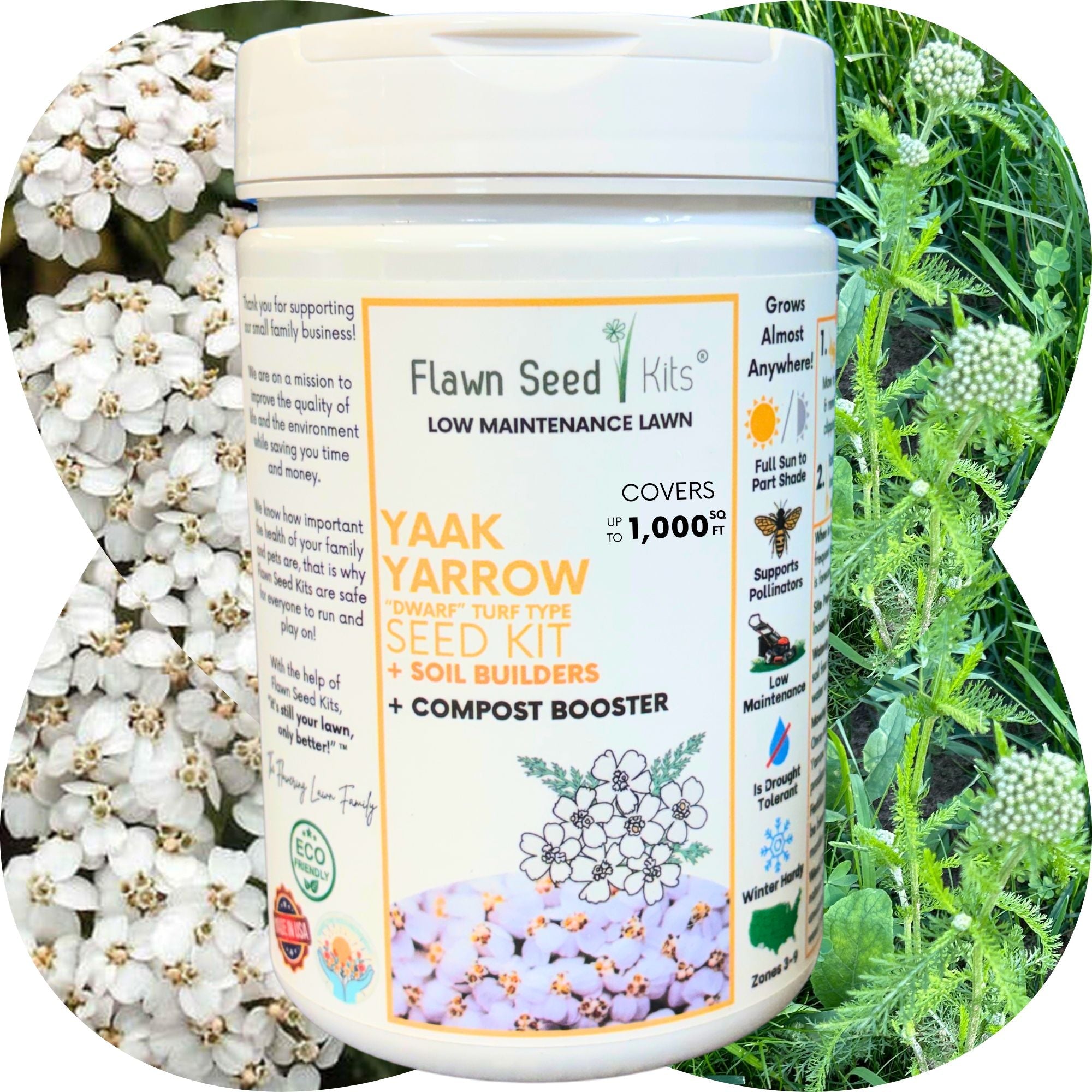 Flawn Seed Kits Yaak Yarrow seed kit with flowers and plants in the background