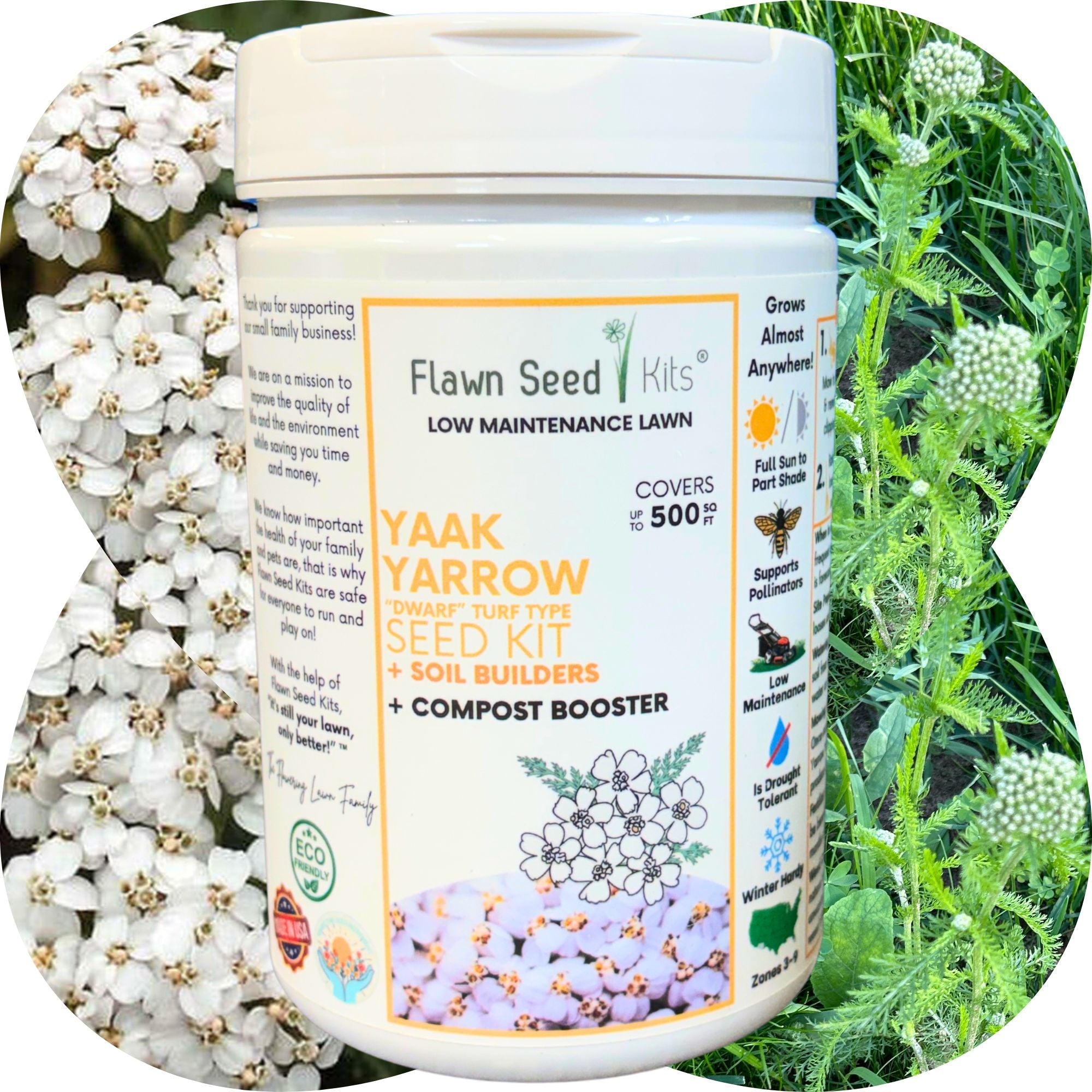 Flawn Seed Kits Yaak Yarrow seed kit with flowers and plants in the background