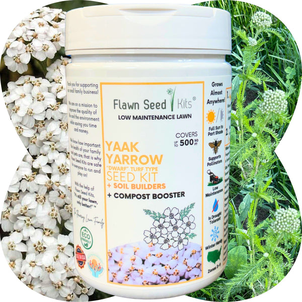 Flawn Seed Kits Yaak Yarrow seed kit with flowers and plants in the background