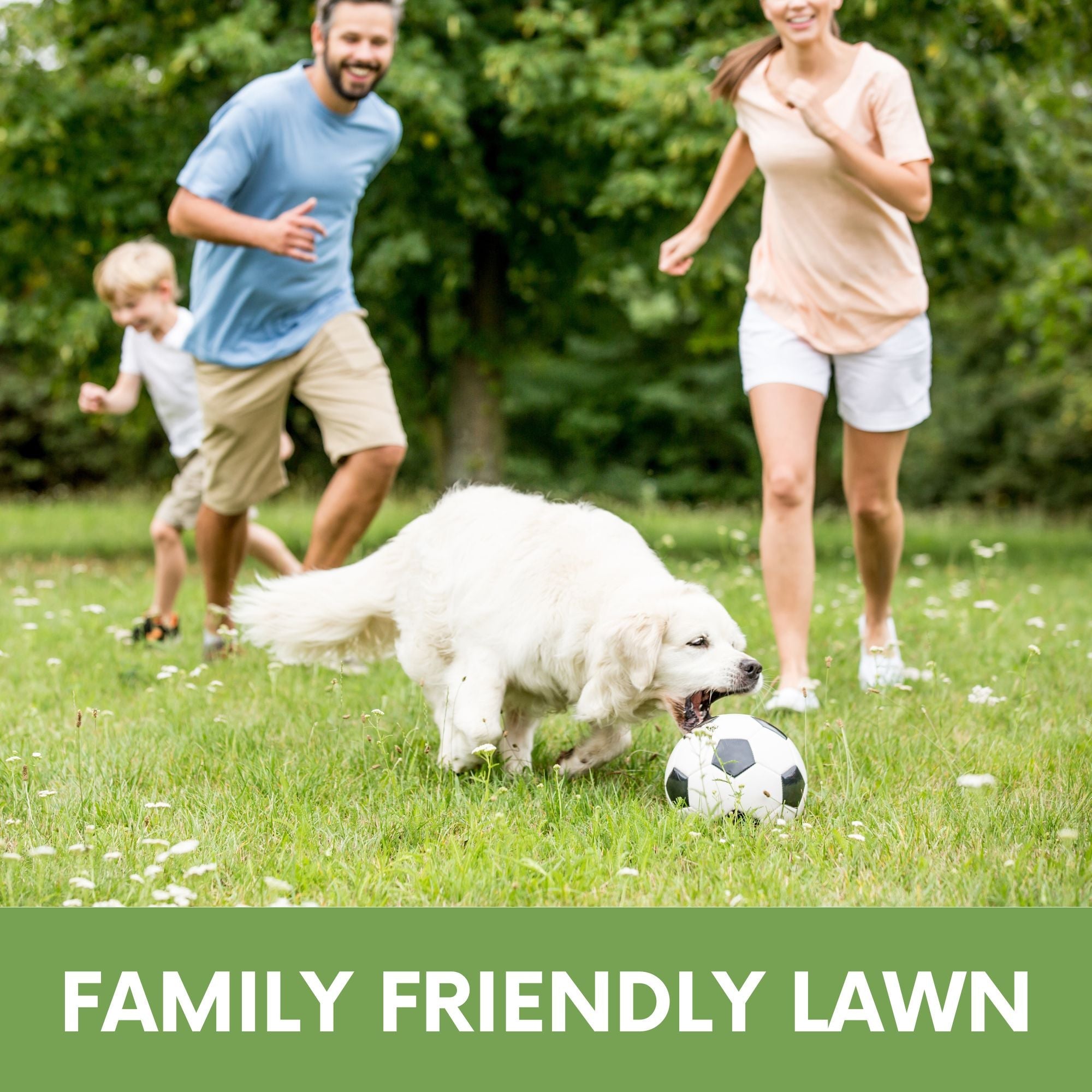 Family playing with a dog on a grassy lawn