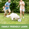 Family playing with a dog on a grassy lawn