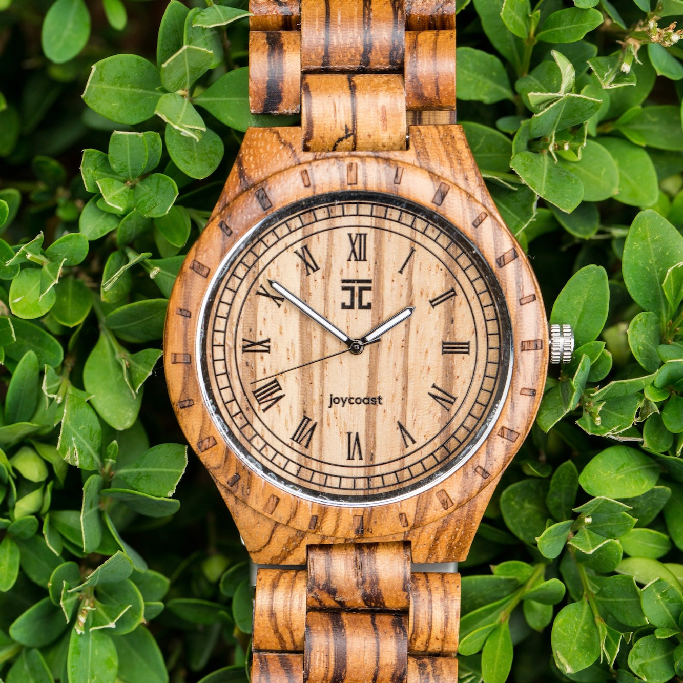 Close-up of Zebra Max African Zebrano wood watch face with hardened mineral glass and natural wood band