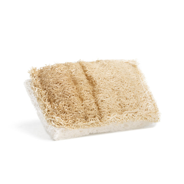 Desesh biodegradable cellulose and loofah dish sponge on a clean white background