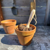 Terracotta pot with a broom inside on a wooden surface