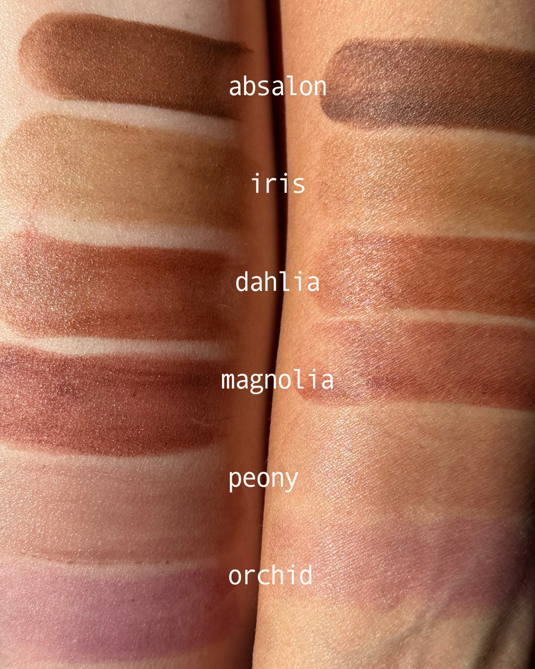 Absalon shade tallow lip and cheek tint pan — warm earthy tone with natural oxide pigments