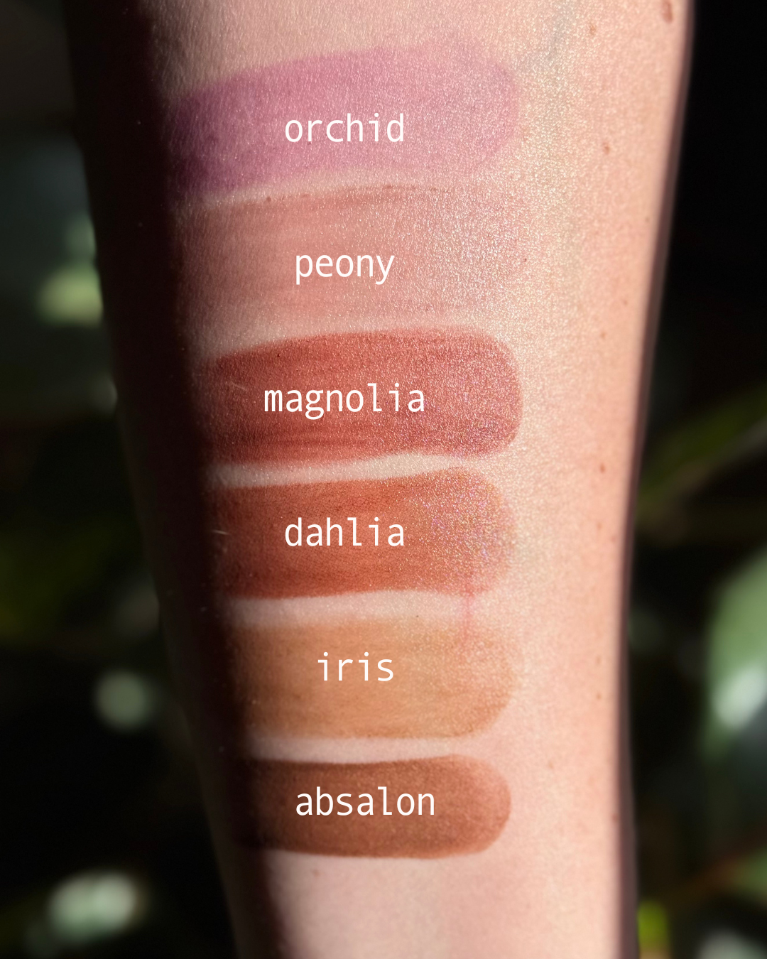 Close-up of Absalon tallow lip and cheek tint pan showing rich buildable color and clean ingredients
