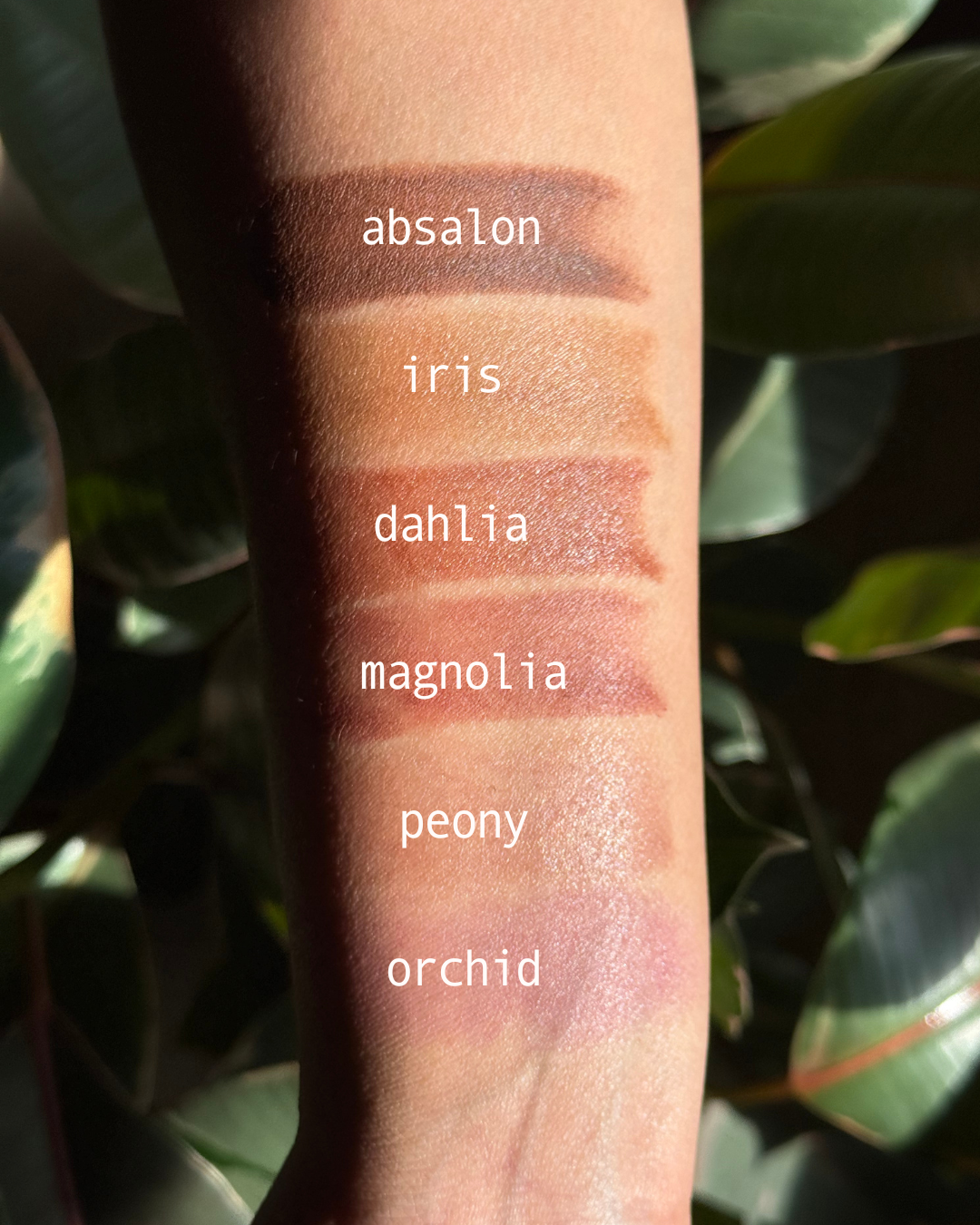 Absalon tallow lip and cheek tint pan swatched to show natural pigment on skin