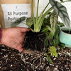 🌿 All-Purpose Potting Mix – Enriched with Ancient Soil for Stronger, Healthier Plants