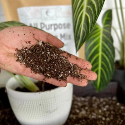🌿 All-Purpose Potting Mix – Enriched with Ancient Soil for Stronger, Healthier Plants