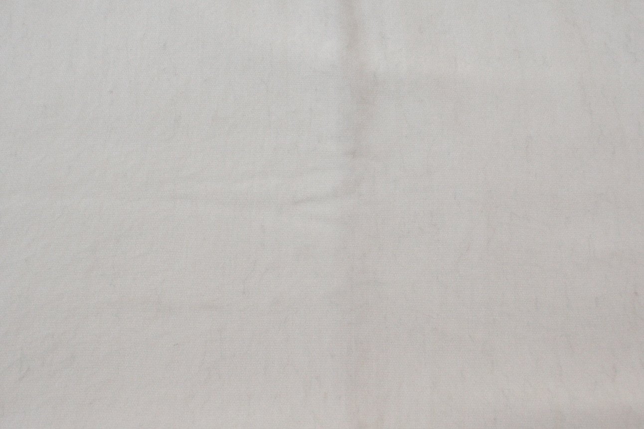 Solid light gray color swatch