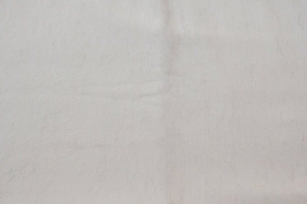 Solid light gray color swatch