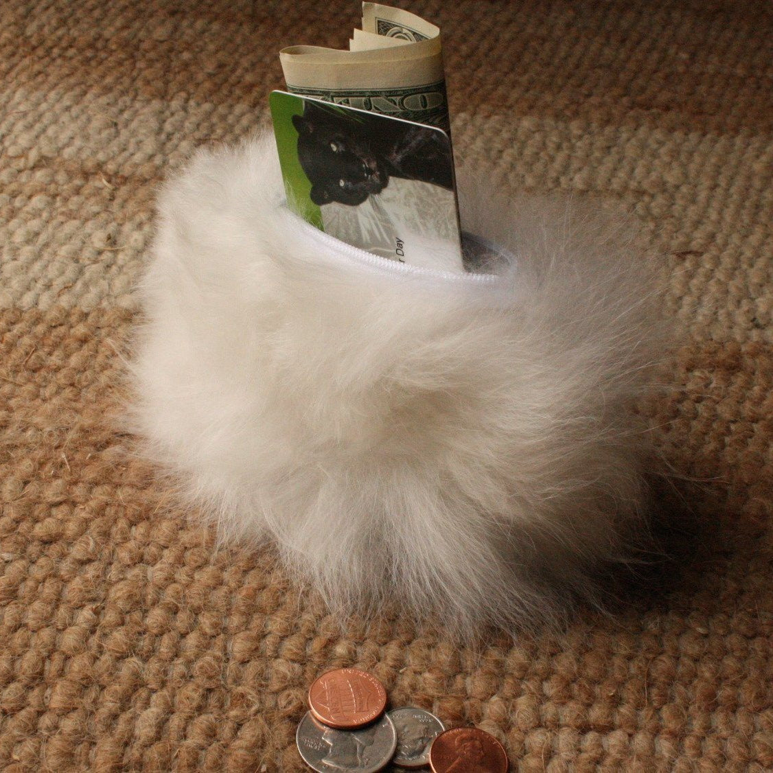 White fluffy object with a dollar bill and coins on a textured surface