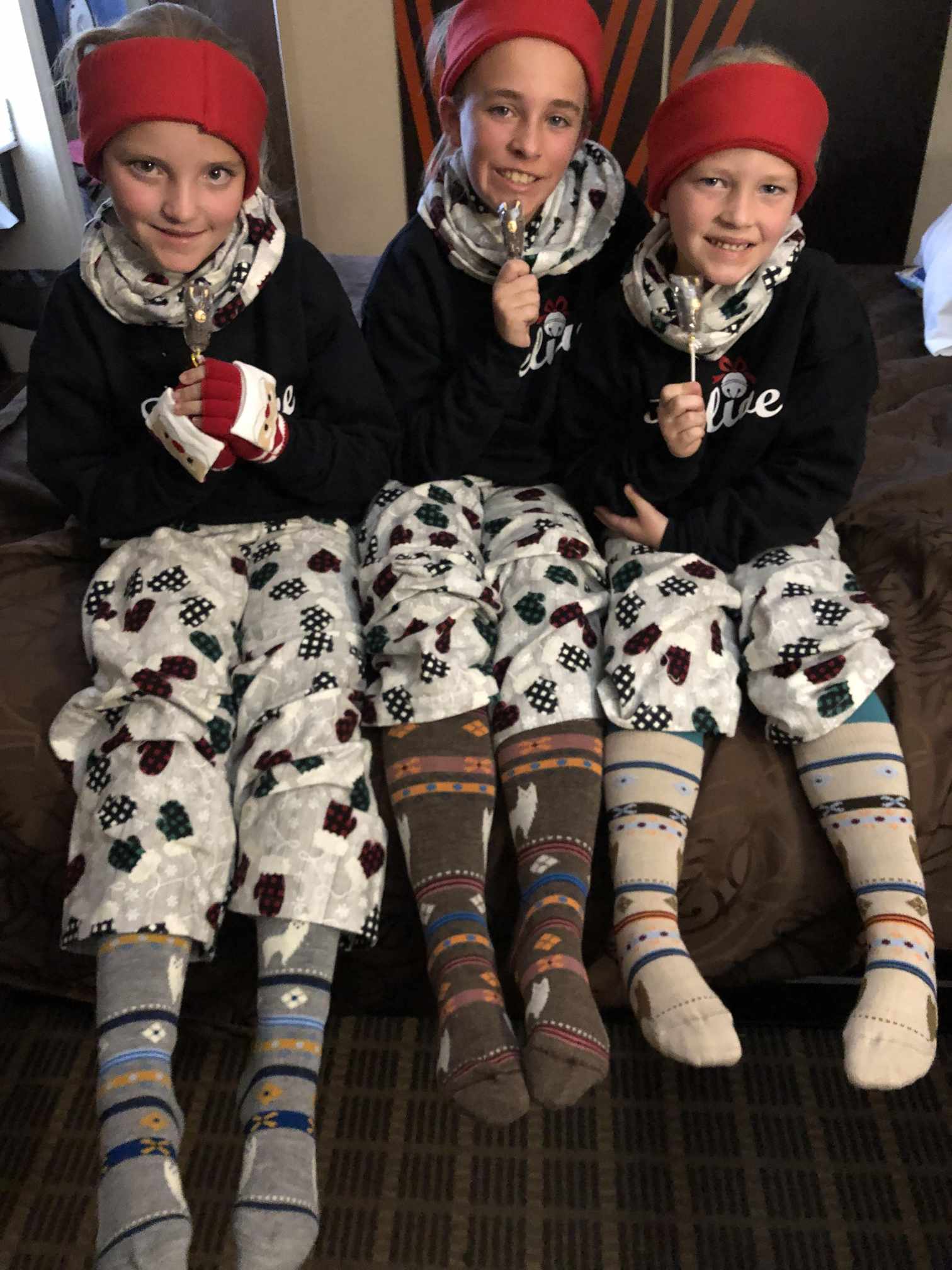 Alpaca Watching Socks: Cozy Alpaca Socks for Adults & Kids