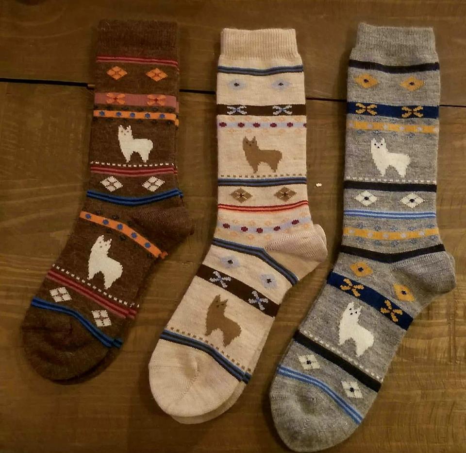 Alpaca Watching Socks: Cozy Alpaca Socks for Adults & Kids