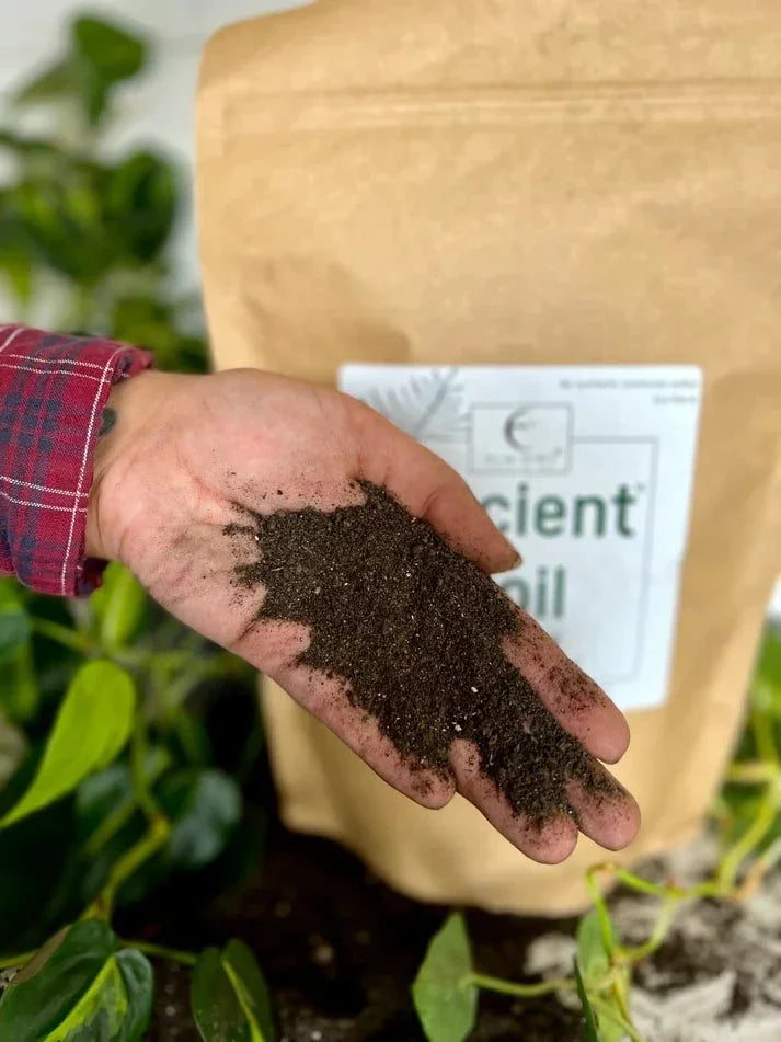 🌱 Ancient Soil – Organic Living Soil for Thriving Plants