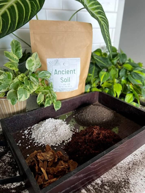 🌱 Ancient Soil – Organic Living Soil for Thriving Plants