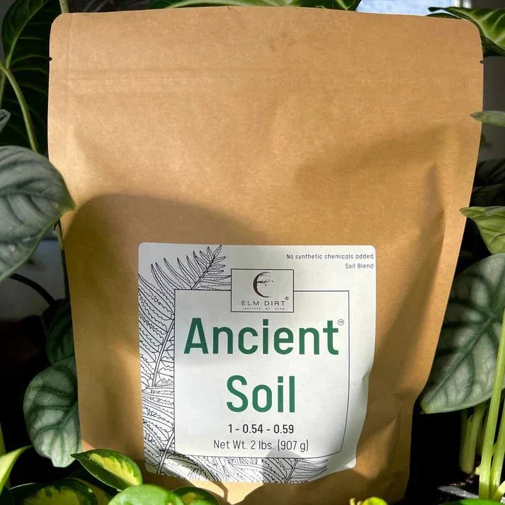 🌱 Ancient Soil – Organic Living Soil for Thriving Plants
