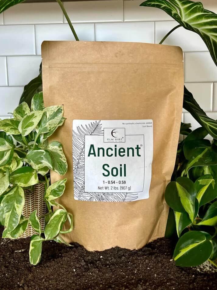 🌱 Ancient Soil – Organic Living Soil for Thriving Plants