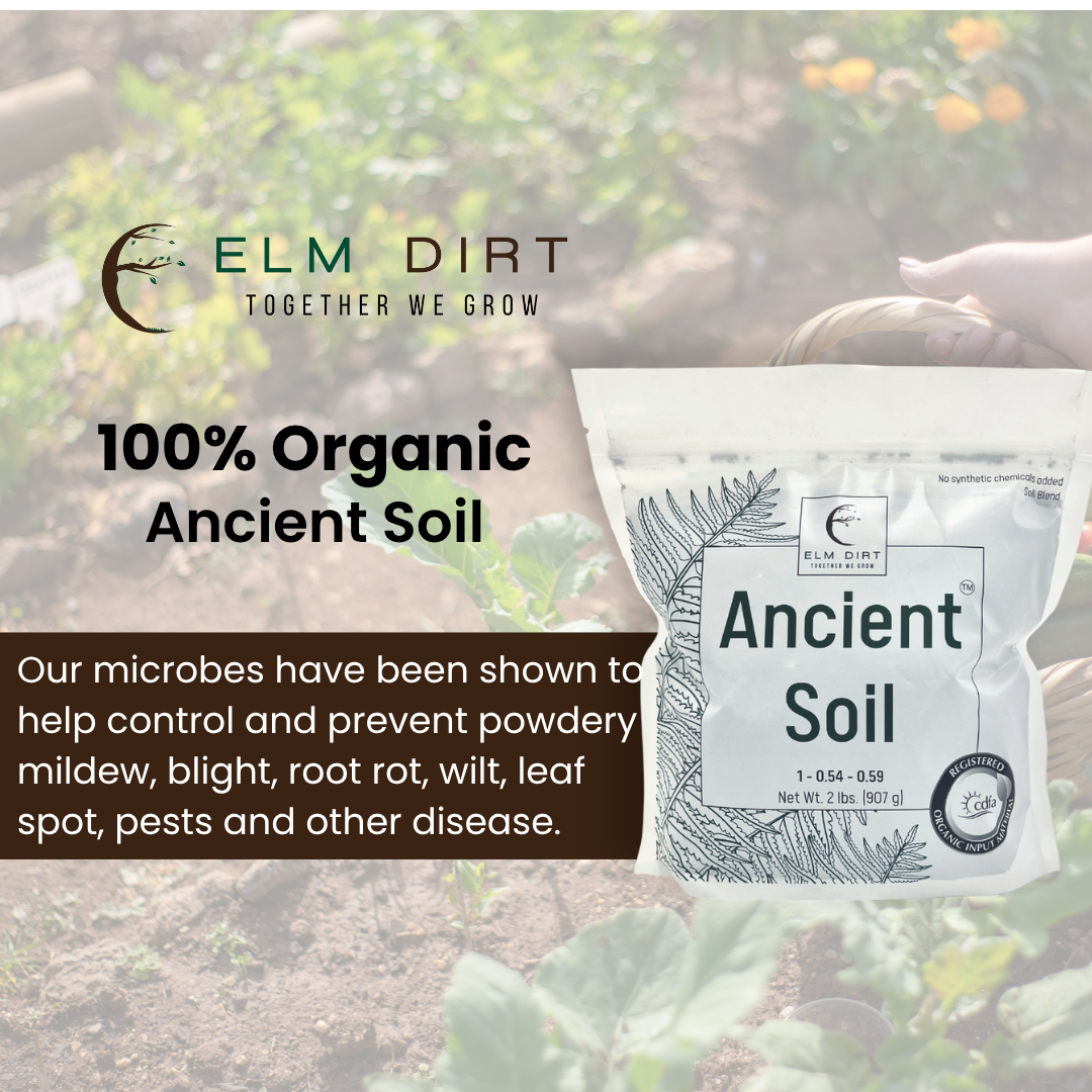 🌱 Ancient Soil – Organic Living Soil for Thriving Plants