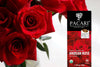 Bouquet of red roses with a Pacari chocolate bar featuring Andean Rose on a white background