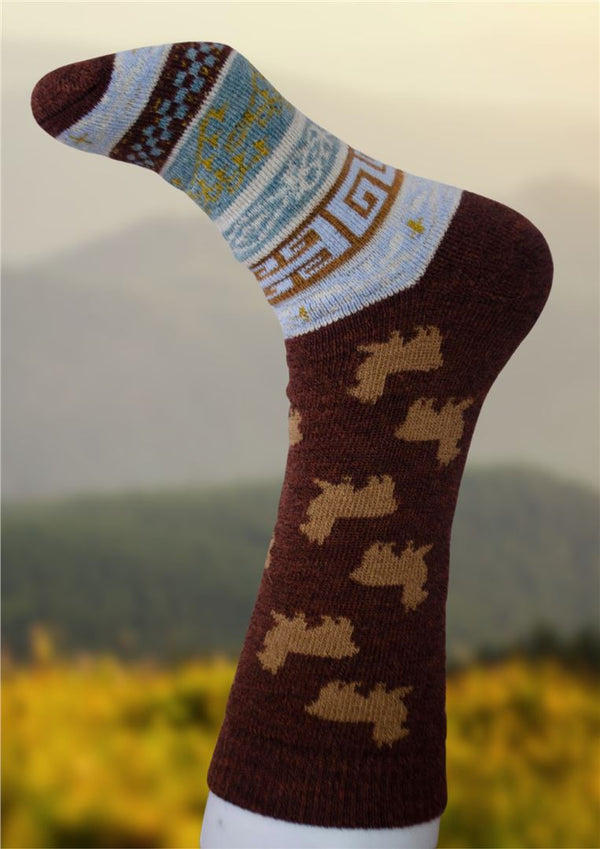Brown sock with bear pattern on a blurred natural background
