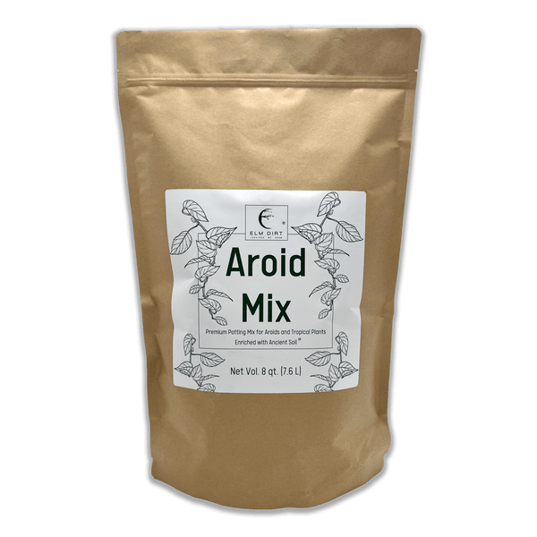 Aroid Mix