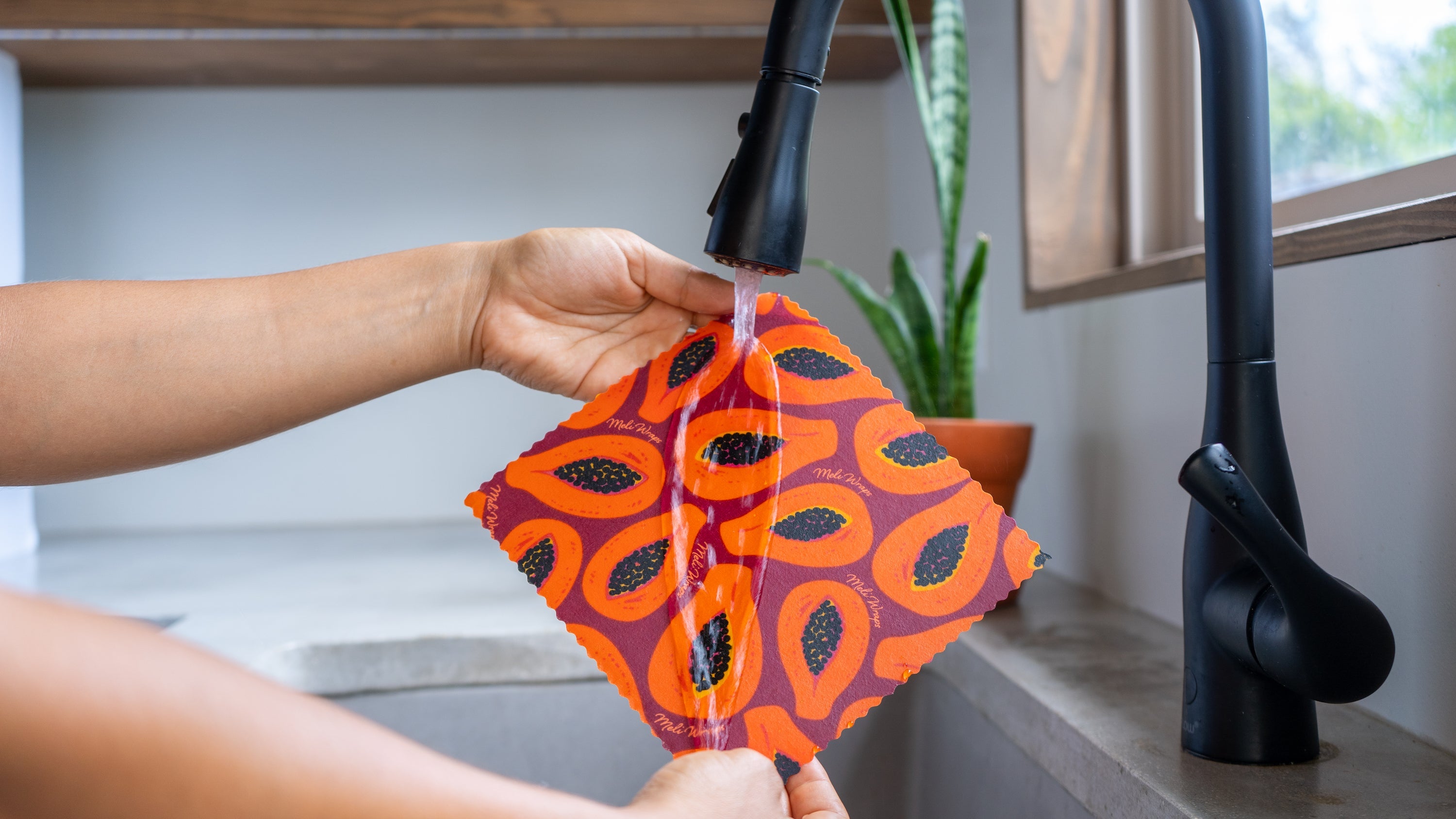 Washing a beeswax wrap with the Purple Papaya print with mild soap and water