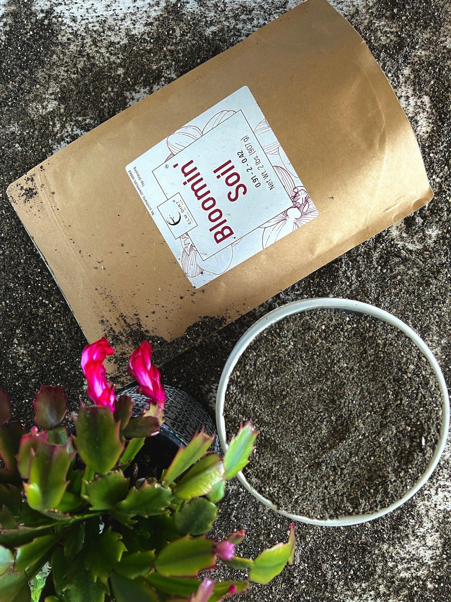Bag of Bloomin' Bloom Soil with a plant and soil sample on a concrete surface. Bloom Power Bundle — fast-acting Bloom Juice with 150+ microbes & slow-release Bloomin' Soil for explosive flowering. More blooms, bigger color. Perfect garden gift.