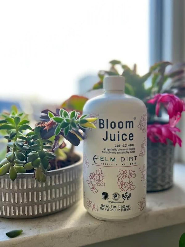 Bottle of 'Bloom Juice' on a windowsill with plants in the background. Bloom Power Bundle — fast-acting Bloom Juice with 150+ microbes & slow-release Bloomin' Soil for explosive flowering. More blooms, bigger color. Perfect garden gift.