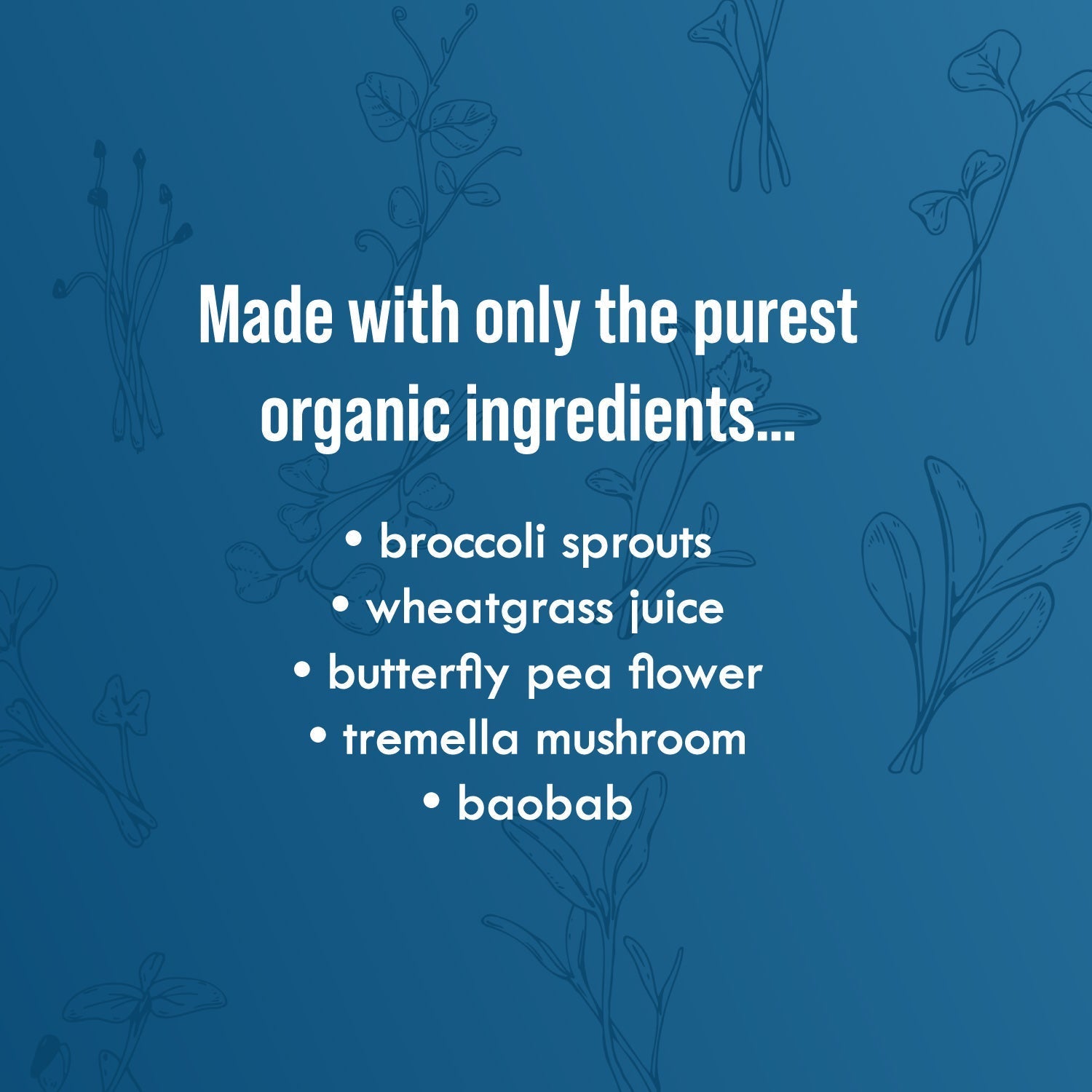 Blue Glow Sprout Powder with Broccoli Sprouts & Butterfly Pea Flower