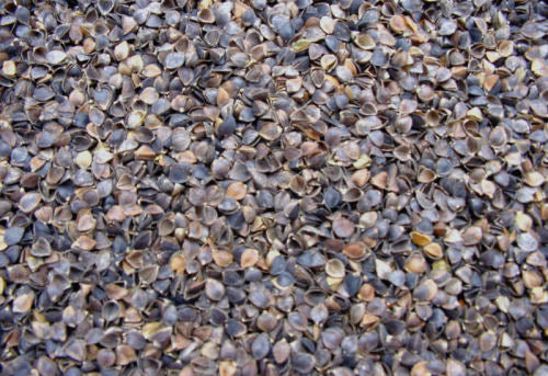 Close-up of a large pile of small, dark-colored stones or pebbles.