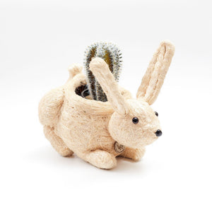 White handmade bunny planter woven from organic coco coir holding a cactus, on a white background