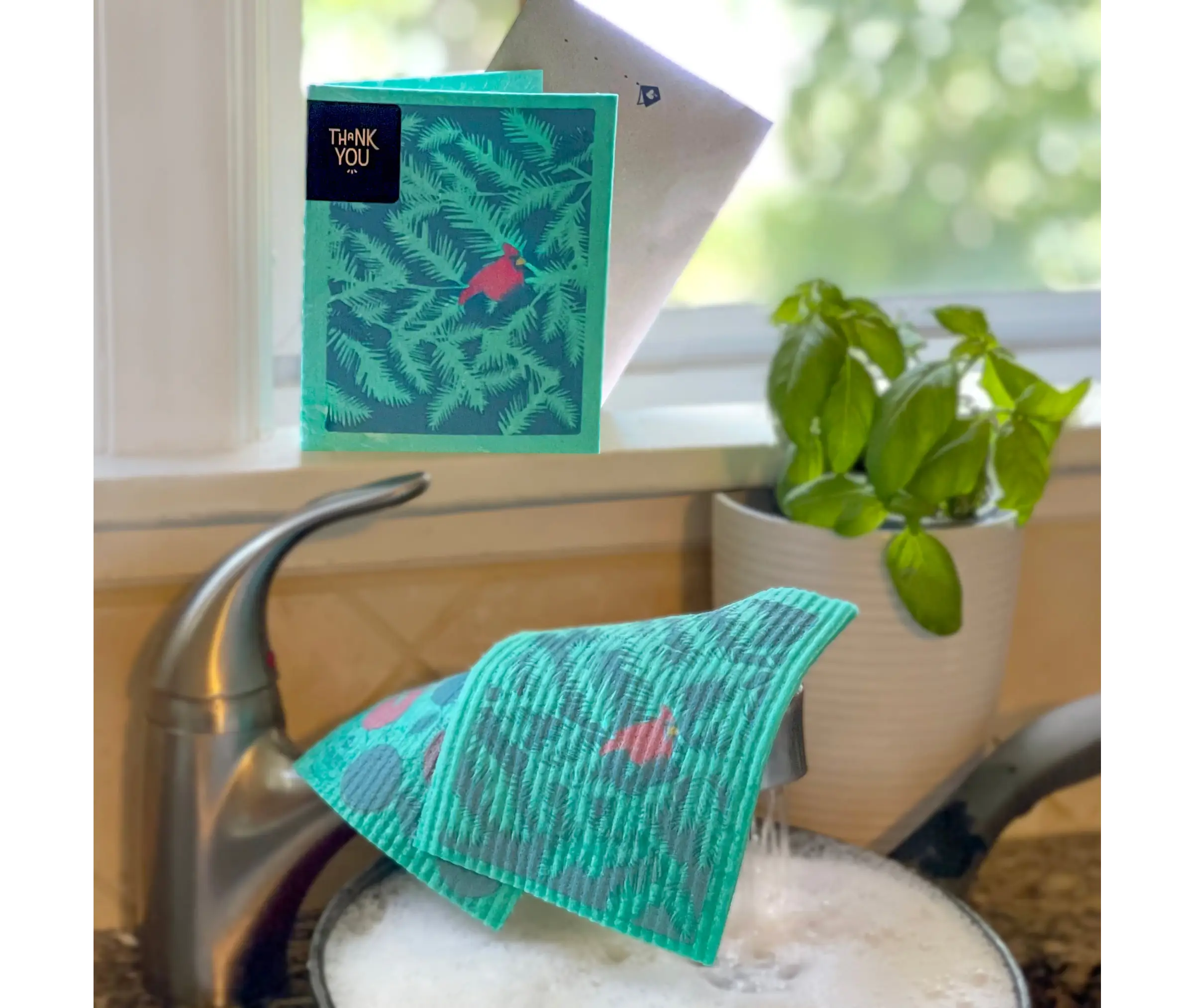 Cardinal Branches Clards—Greetings that Clean Up