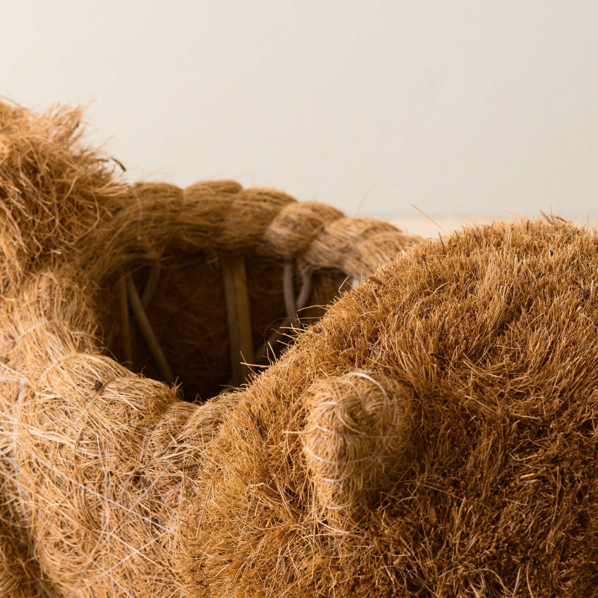 Close-up of a coiled rope with a neutral background