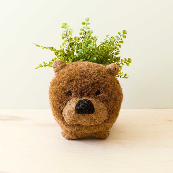 Teddy bear-shaped planter with green plants on a light background