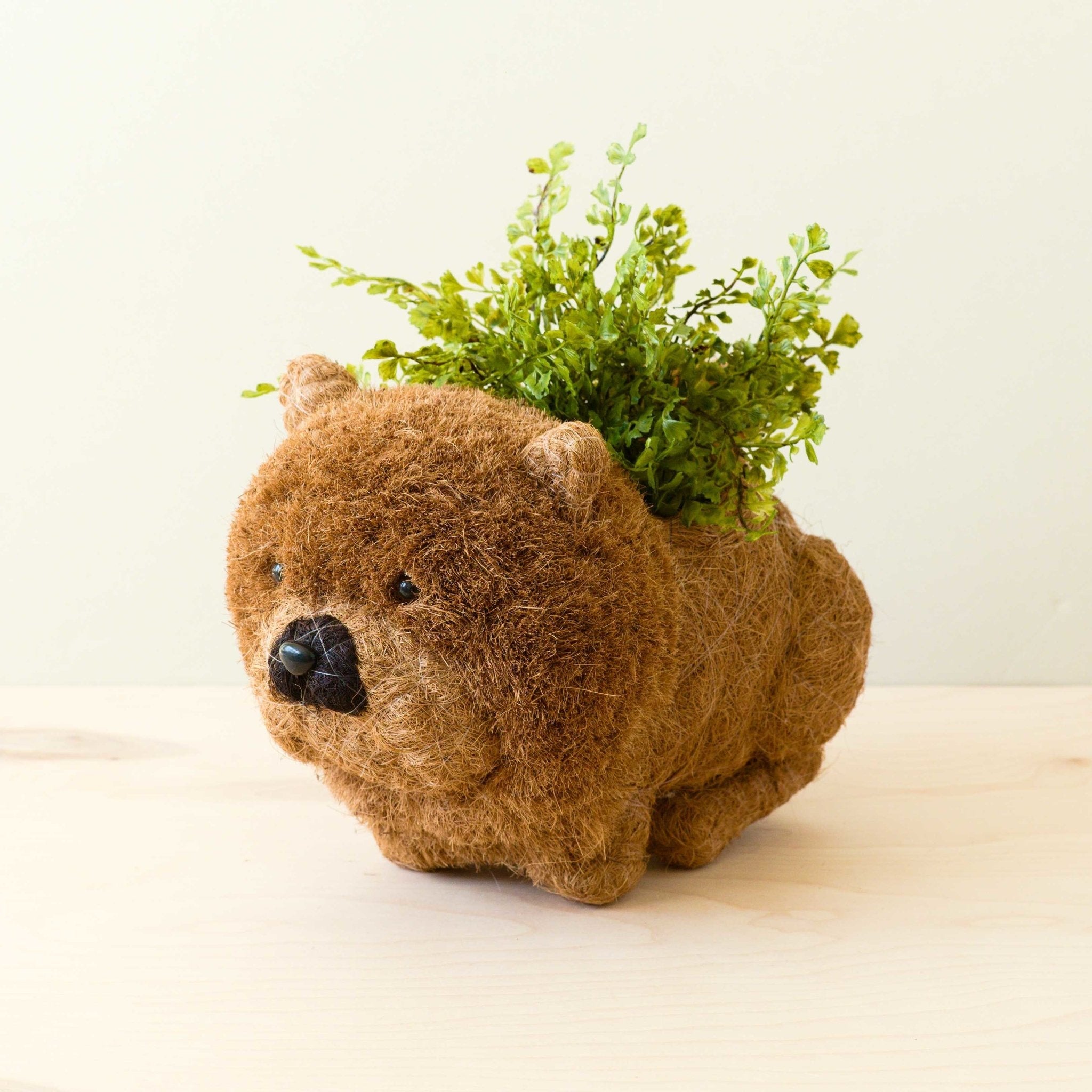 Brown bear-shaped planter with green plant on a white background