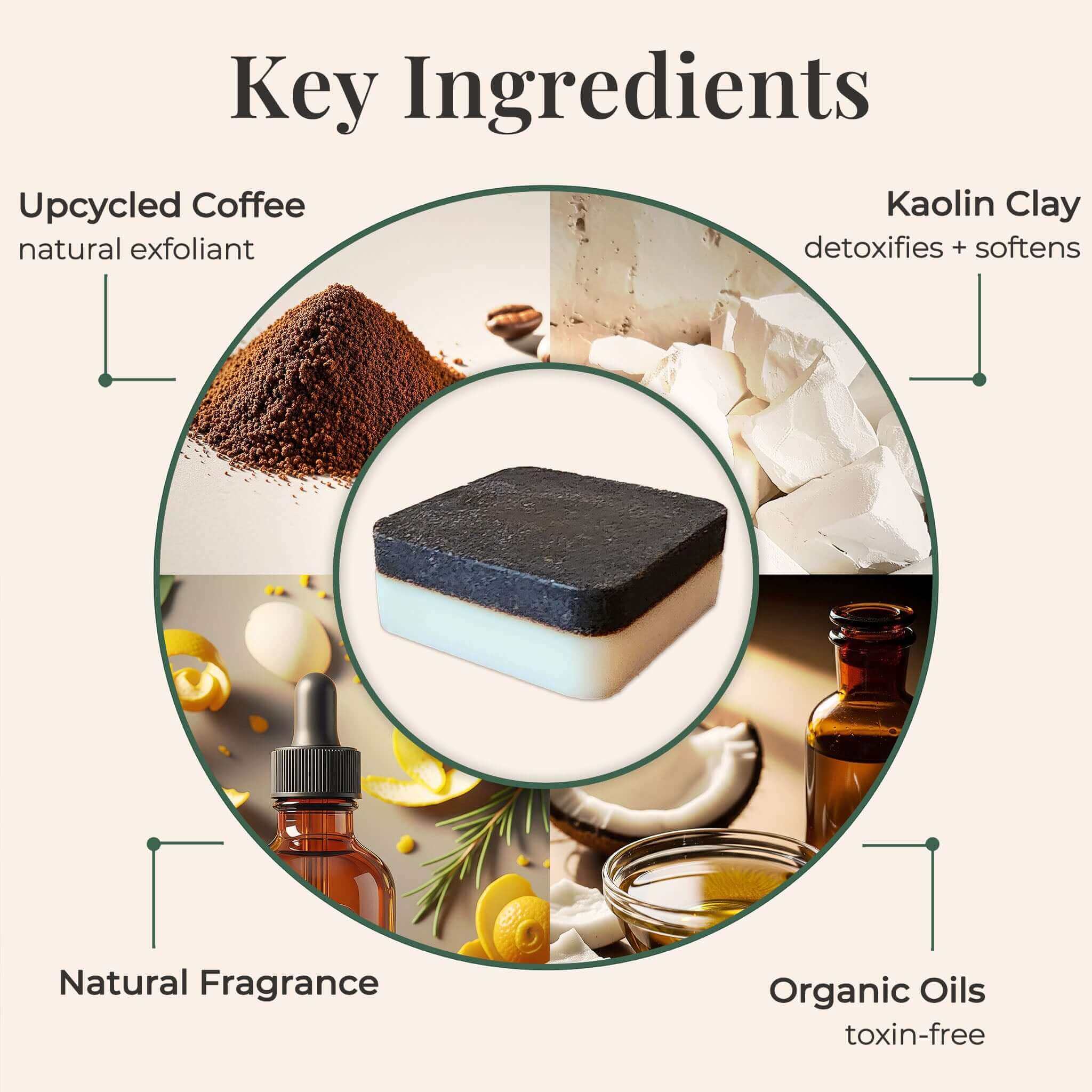 Key ingredients of a product with images and text labels on a white background