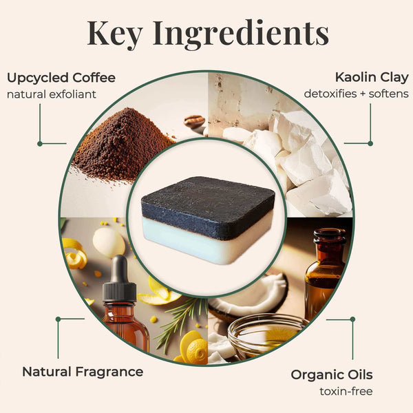 Key ingredients of a product with images and text labels on a white background